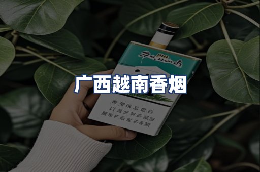 广西越南香烟